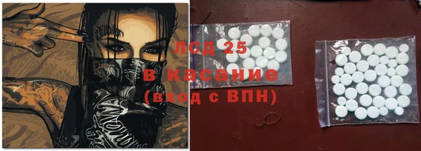 шишки Лагань