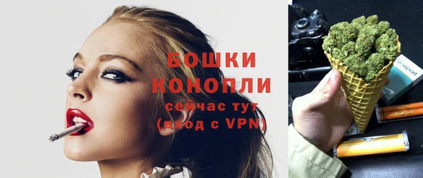 шишки Лагань