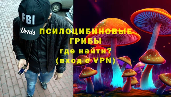 крисы Ладушкин