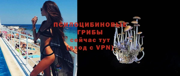 крисы Ладушкин