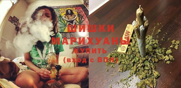 шишки Лагань