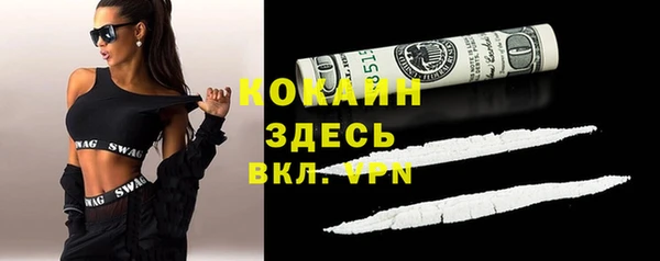 шишки Лагань