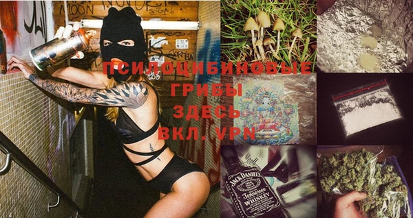 шишки Лагань