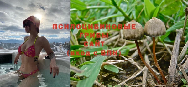 крисы Ладушкин