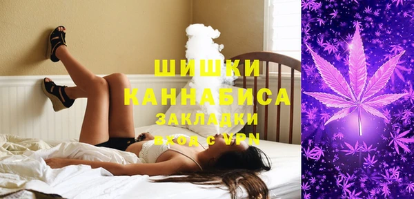 шишки Лагань