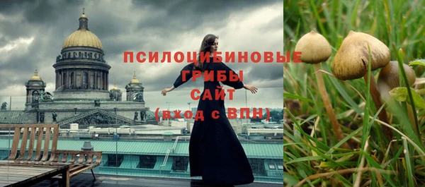 крисы Ладушкин