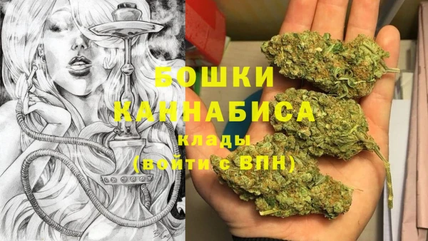 шишки Лагань