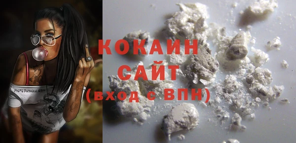 шишки Лагань