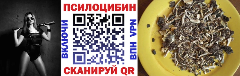 Купить Еманжелинск Псилоцибиновые грибы MAGIC MUSHROOMS